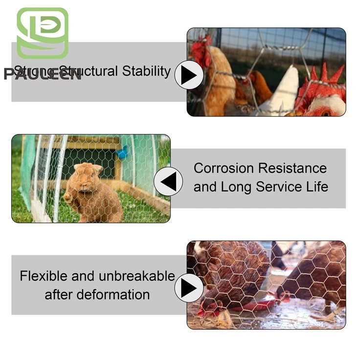 Hexagonal Chicken Wire Mesh Roll factory