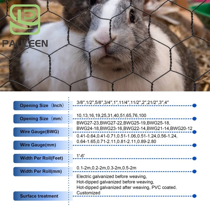 Hexagonal Chicken Wire Mesh Roll suppliers